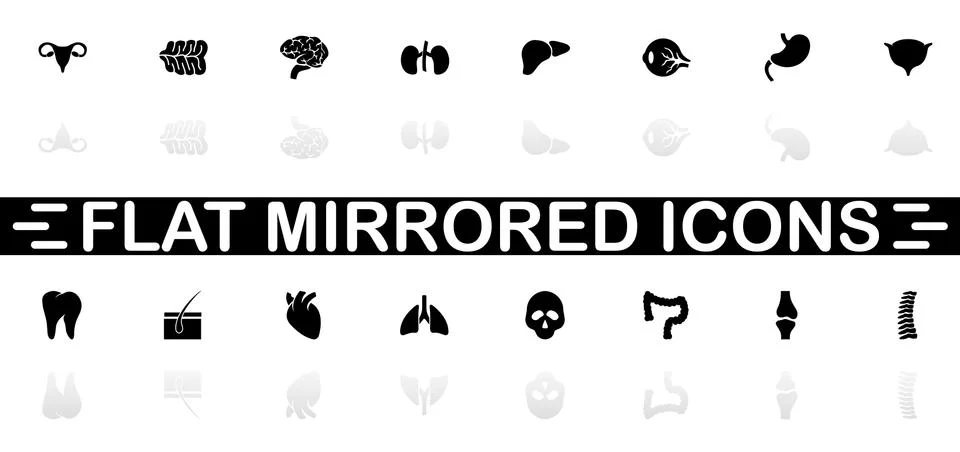 Organs - Flat Vector Icons Stock Illustration