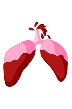  organs  Stock-Illustration