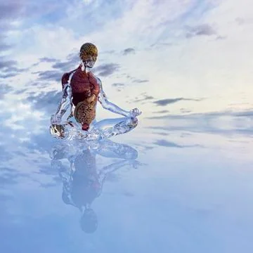 Organs of transparent man meditating in cloudy sky イラスト素材