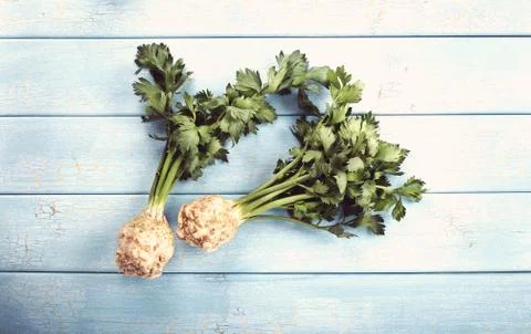 Orgqnic celery Stock Photos