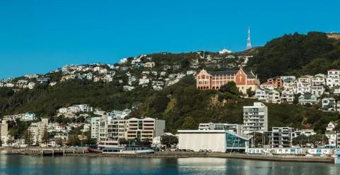 Oriental Bay Stock Photos