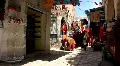 Oriental bazaar in Tunisia HD Footage