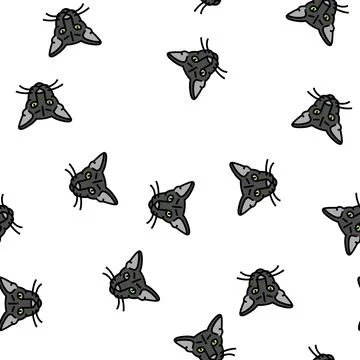 Oriental cat cute pet vector seamless pattern Stockillustratie