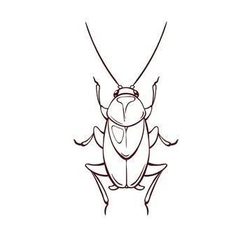 Oriental cockroach, macro of insects. Pest control Stockillustratie