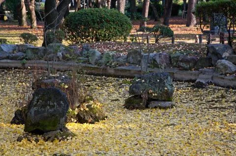 Oriental landscape Stock Photos