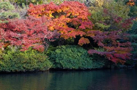 Oriental landscape Foto stock