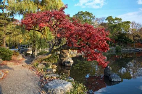 Oriental landscape Stock Photos