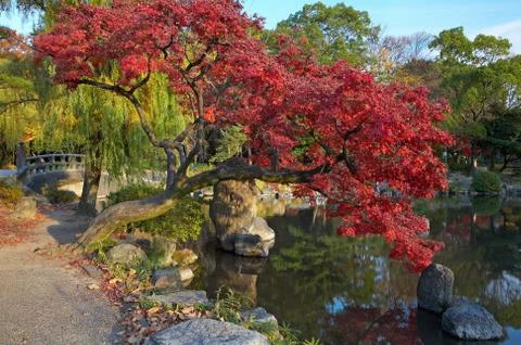 Oriental landscape Stock Photos