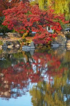 Oriental landscape Stock-Fotos