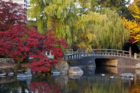 Oriental landscape Stock Photos