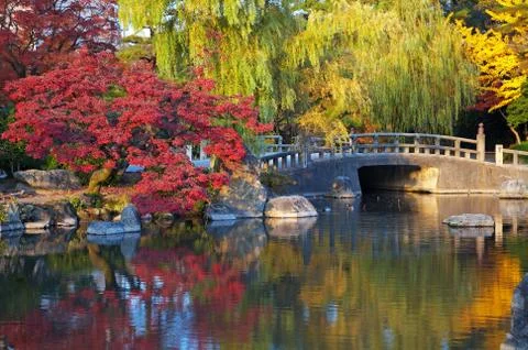 Oriental landscape Stock Photos