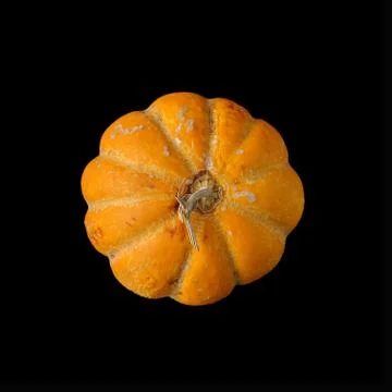 Oriental Melon on black background Foto stock