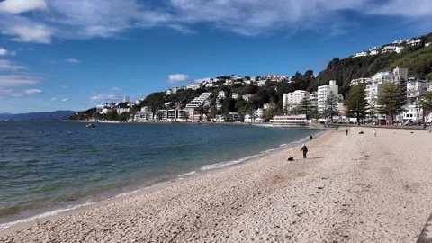 Oriental Parade Wellington Stock Footage 281135842