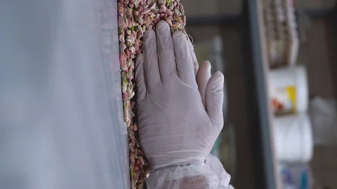 The oriental pastry chef takes a handful of pistachios, vertical video Stock Footage 255102735