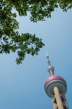 Oriental pearl tower Stock Photos
