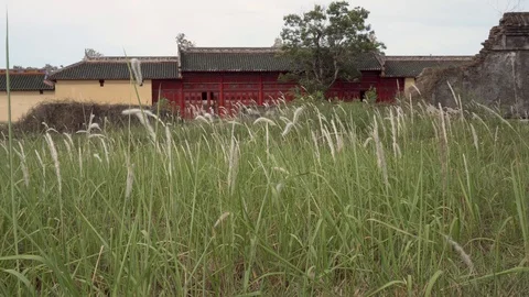 Oriental red monument in Hue inside Citadel, Imperial City Stock Footage 113664166