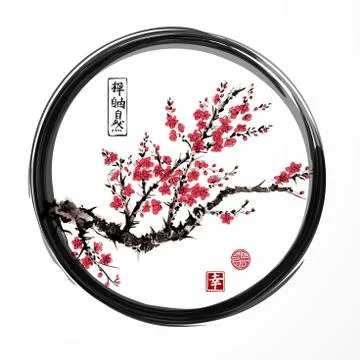 Oriental sakura cherry tree blossoming in black enso zen circle on white back Illustrazione stock