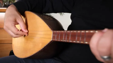 Oriental string instruments Stock Footage 208868888