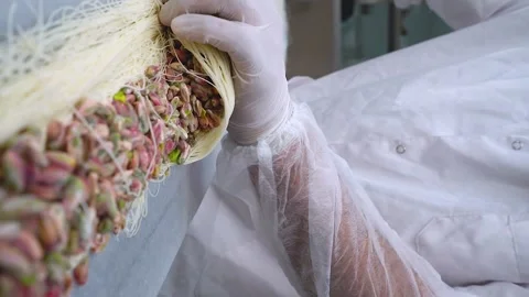 The oriental sweets chef rolls the pistachio filling to make mabroma Stock Footage 255103343