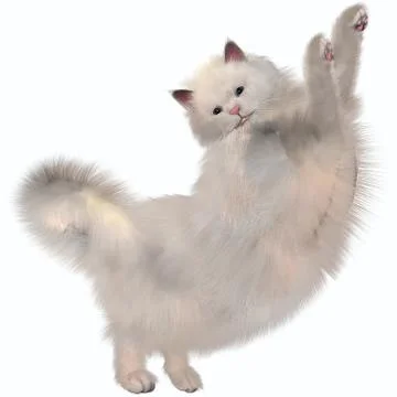 Oriental white cat Stock Illustration