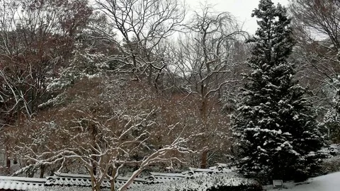 Oriental winter scene: Vidéo 80149597