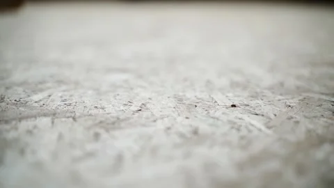 Oriented strand board texture close-up, smooth camera glide Stock Footage 237758837