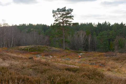 An orienteering control point in a clear.. Stock Photos