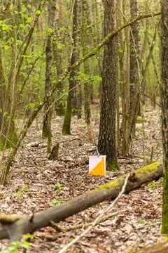 Orienteering. Control point Prism and electric composter for orienteering in  Fotos Stock