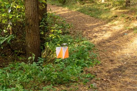 Orienteering. Control point Prism and electric composter for orienteering i.. Fotos de archivo