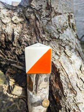 Orienteering control point prism marker mounted on wooden stake near tree tr Stock Photos