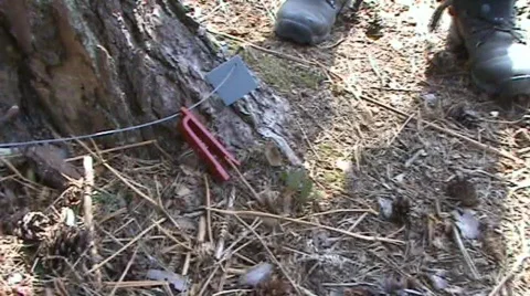 Orienteering Vídeos de archivo 360100