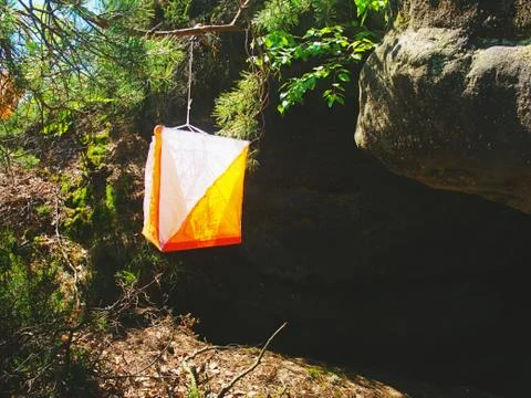 Orienteering orange white box outdoor in forest. Popular sport Stock Photos