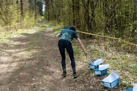 Orienteering participant selecting map from basket at start Stock Photos
