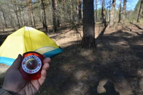 Orienteering in the woods with a compass. Stock Photos