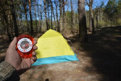 Orienteering in the woods with a compass. Stock Photos