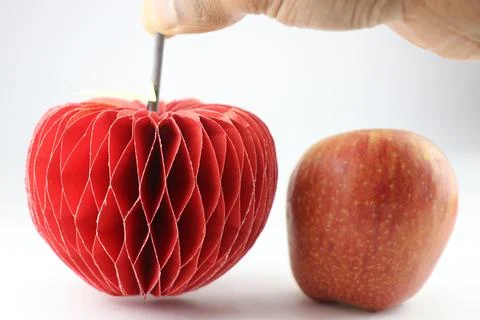 Origami apple with its stem held in hand with real apple placed nearby Stock Photos