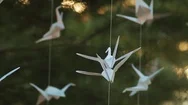 Origami Cranes In Summer Nature Stock Footage