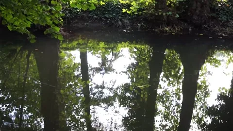 Origami floating on river Stock Footage 228845049