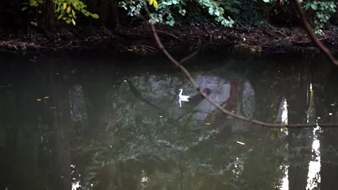 Origami floating on river Stock Footage 228845053