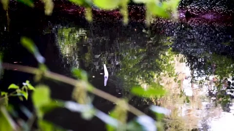 Origami floating on river Stock Footage 228845058