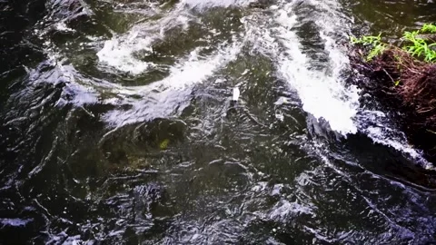 Origami floating on river Stock Footage 228845070