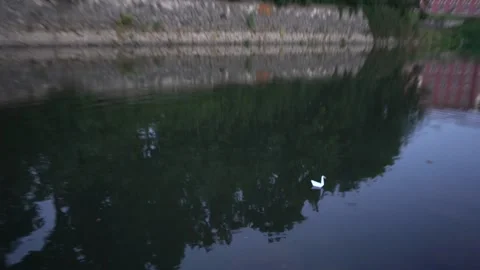 Origami floating on river Stock Footage 228845072