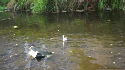 Origami floats in the river. Stock Footage 228844981