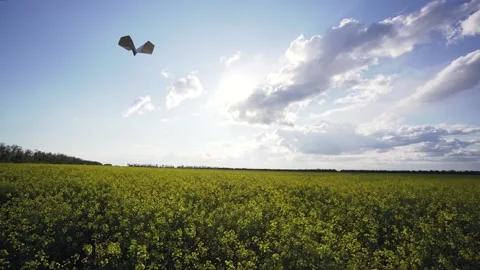 Origami Stock Footage 134251545