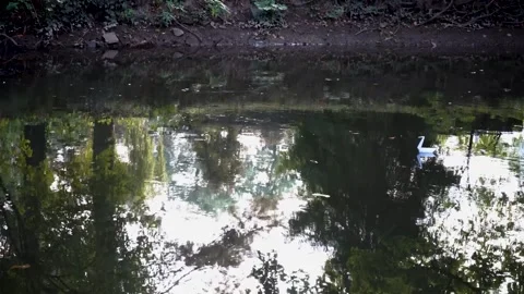 Origami Stock Footage 228845044