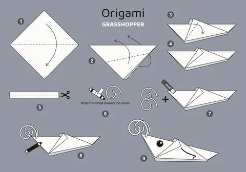 Origami tutorial for kids Origami cute grasshopper Stock Illustration