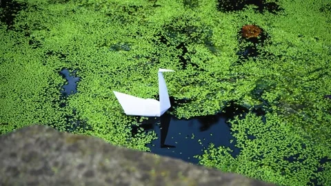 Origami in water. Stock Footage 228845093