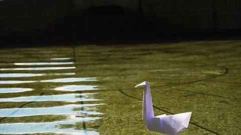 Origami in water. Stock Footage 228845115