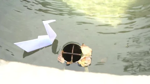 Origami in water. Stock Footage 228845124