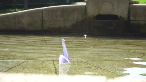 Origami in water. Stock Footage 228845126